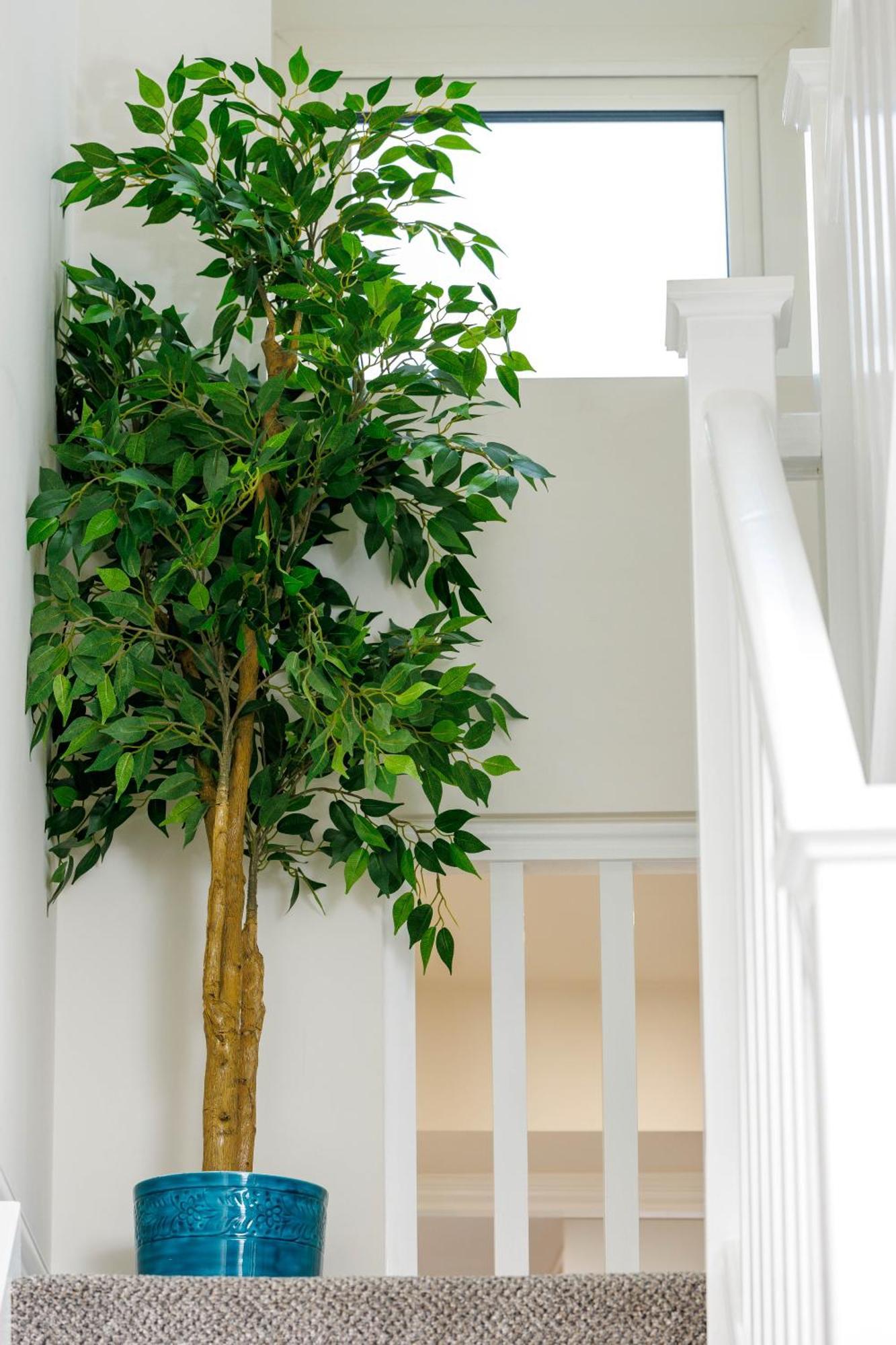 Sandbury Town House Kilkenny Esterno foto